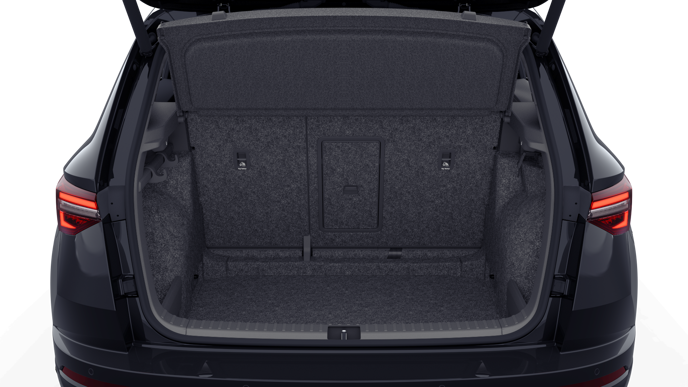 Bild eines Karoq Sportline TDI DSG