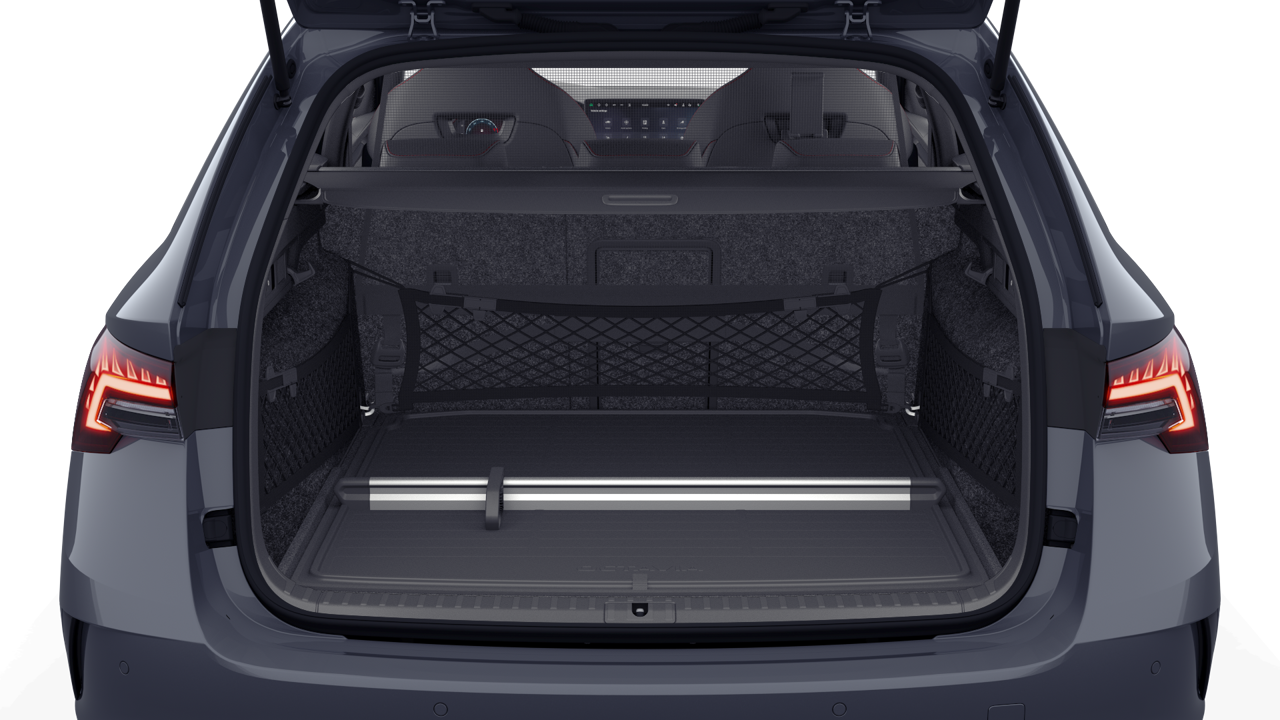 Bild eines Octavia Combi RS