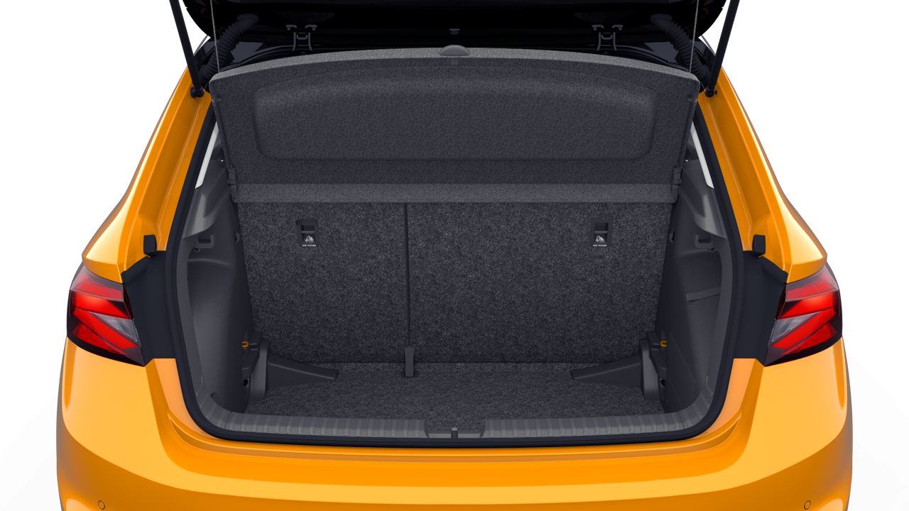 Bild eines Fabia Selection