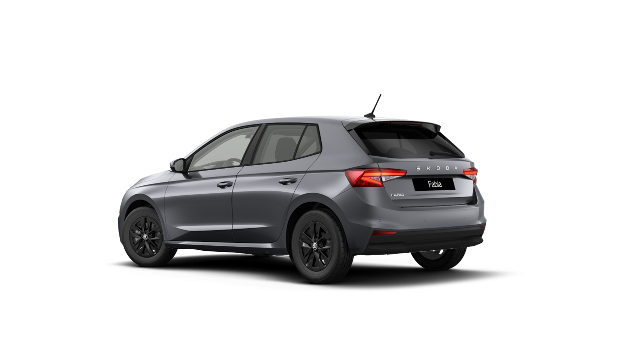 Bild eines Fabia Selection TSI