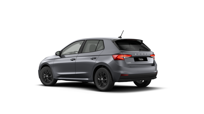 Bild eines Fabia Selection TSI