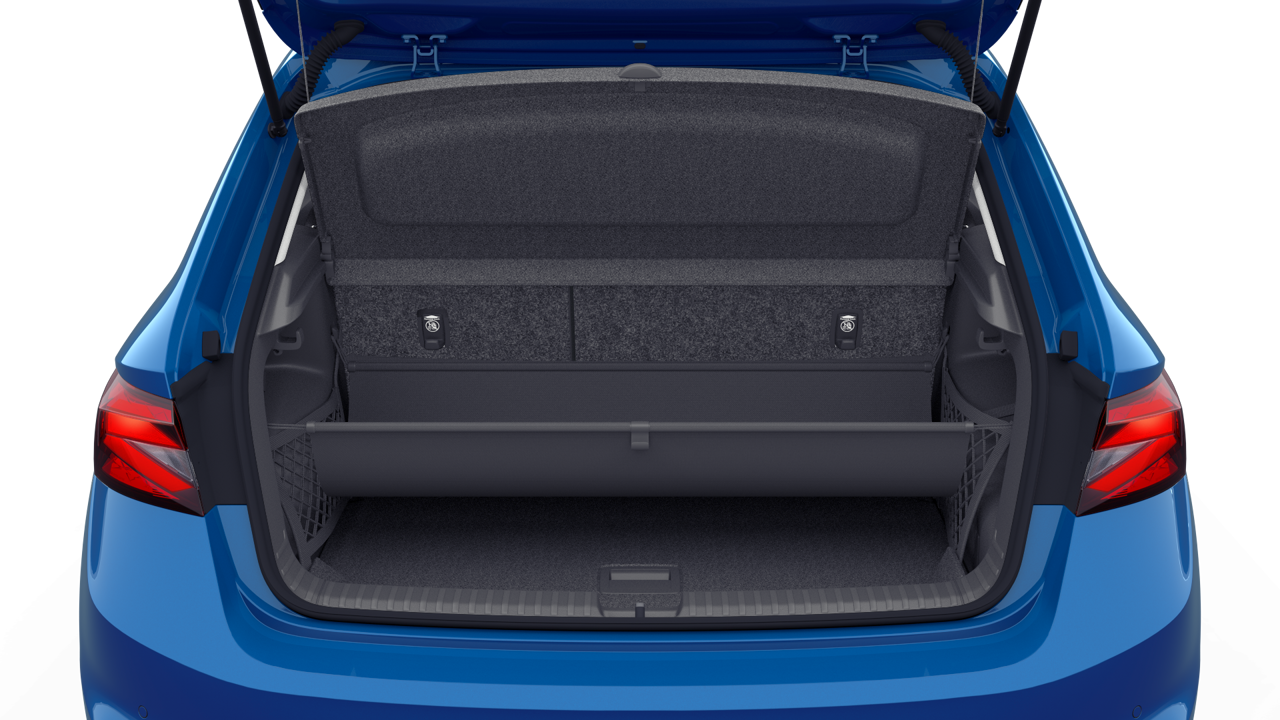 Bild eines Fabia Selection TSI DSG