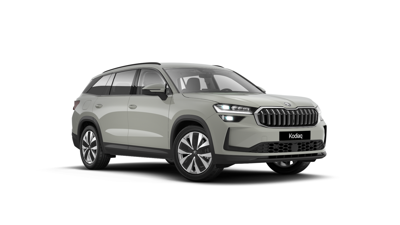 Bild eines Kodiaq Selection TDI DSG