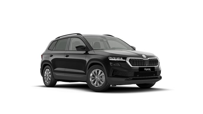 Bild eines Karoq 4x4 Selection TDI DSG