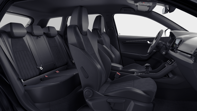 Bild eines Karoq Sportline TDI DSG