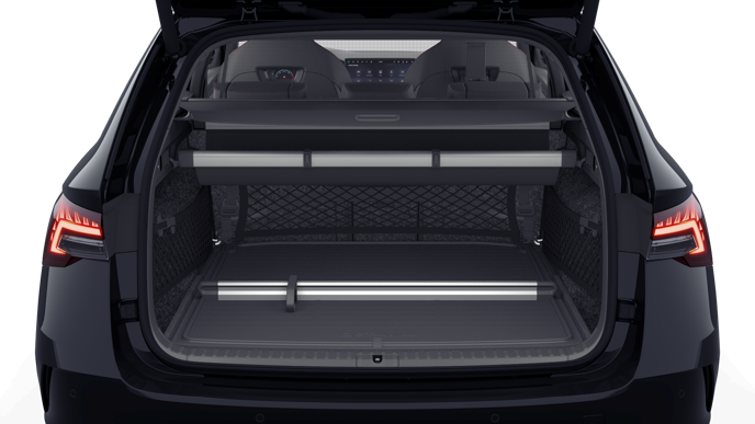 Bild eines Octavia Combi RS