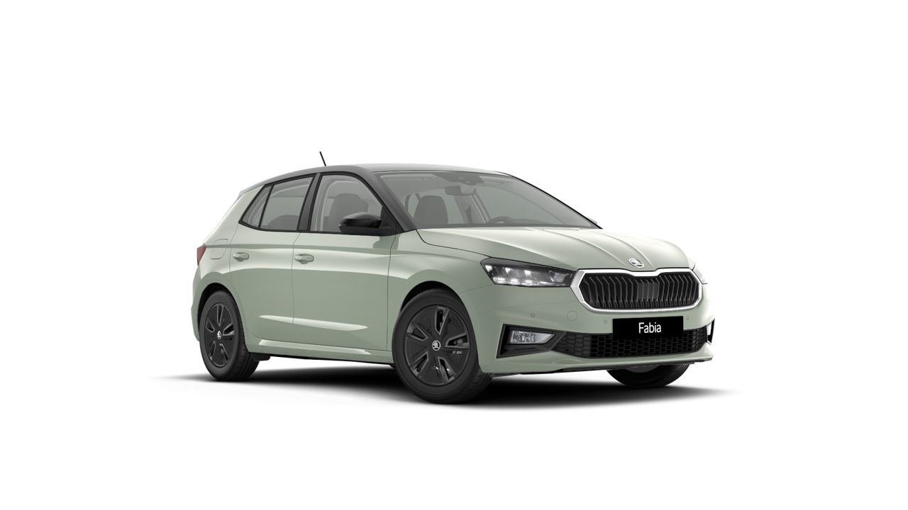 Bild eines Fabia Selection TSI