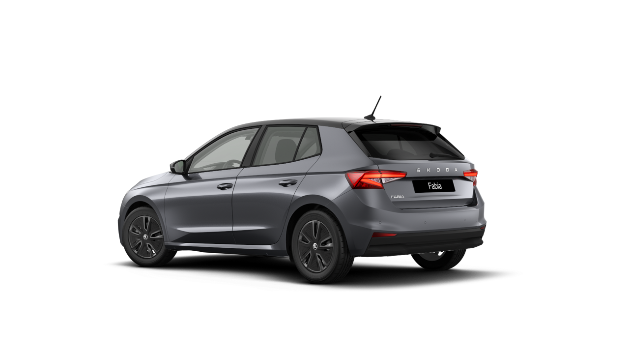 Bild eines Fabia Selection TSI DSG