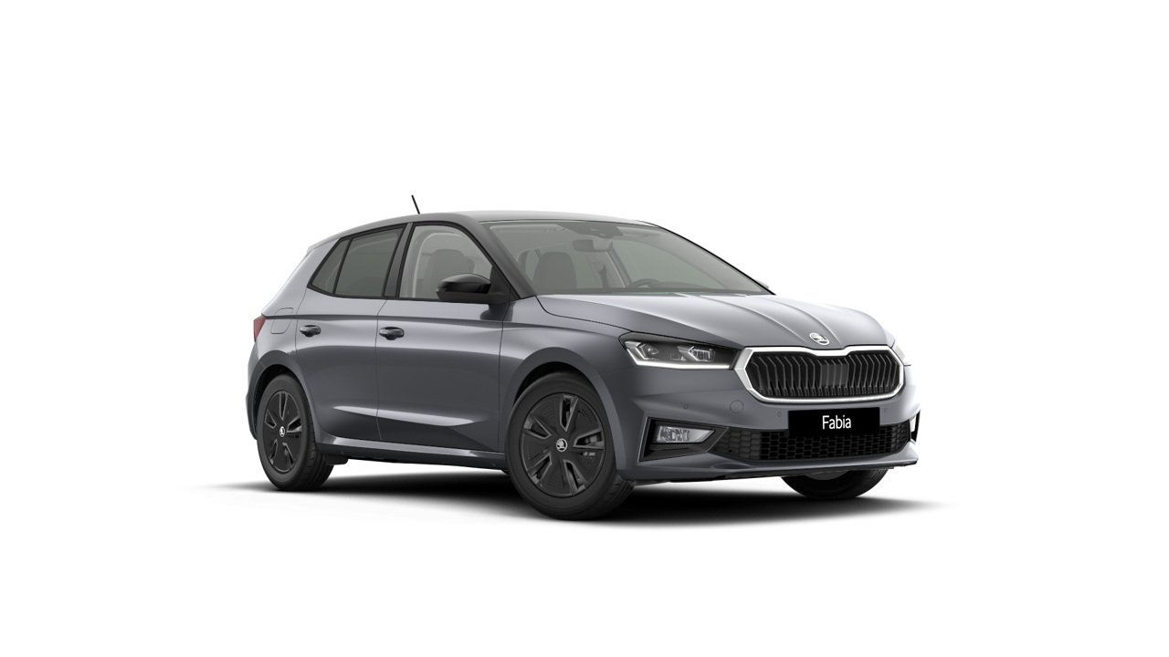 Bild eines Fabia Selection TSI DSG