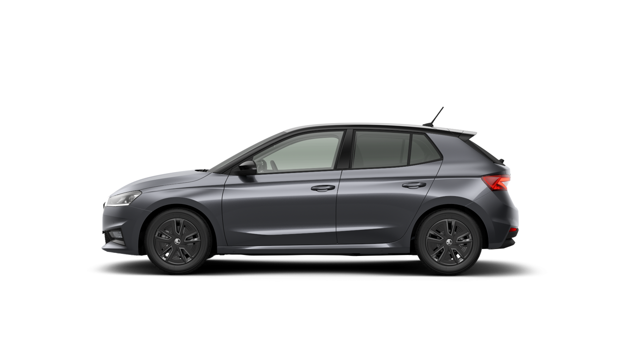 Bild eines Fabia Selection TSI DSG