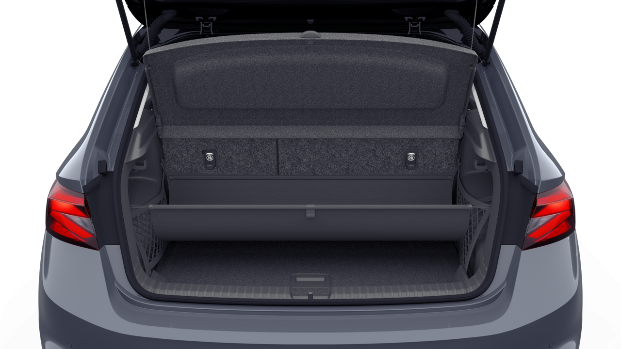 Bild eines Fabia Selection TSI DSG