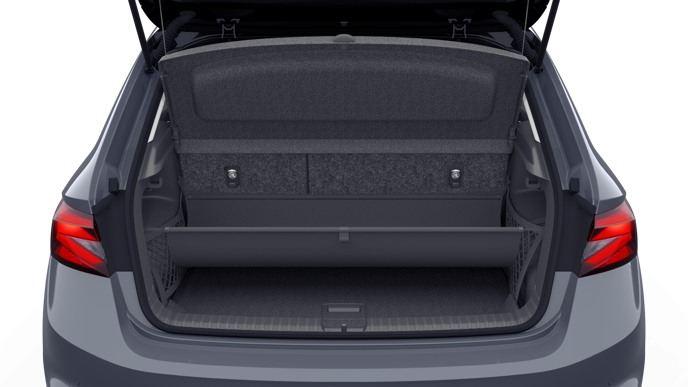 Bild eines Fabia Selection TSI DSG