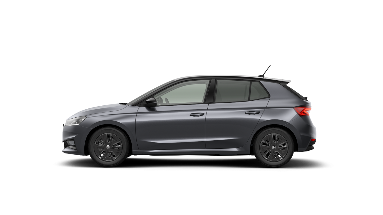 Bild eines Fabia Selection TSI DSG