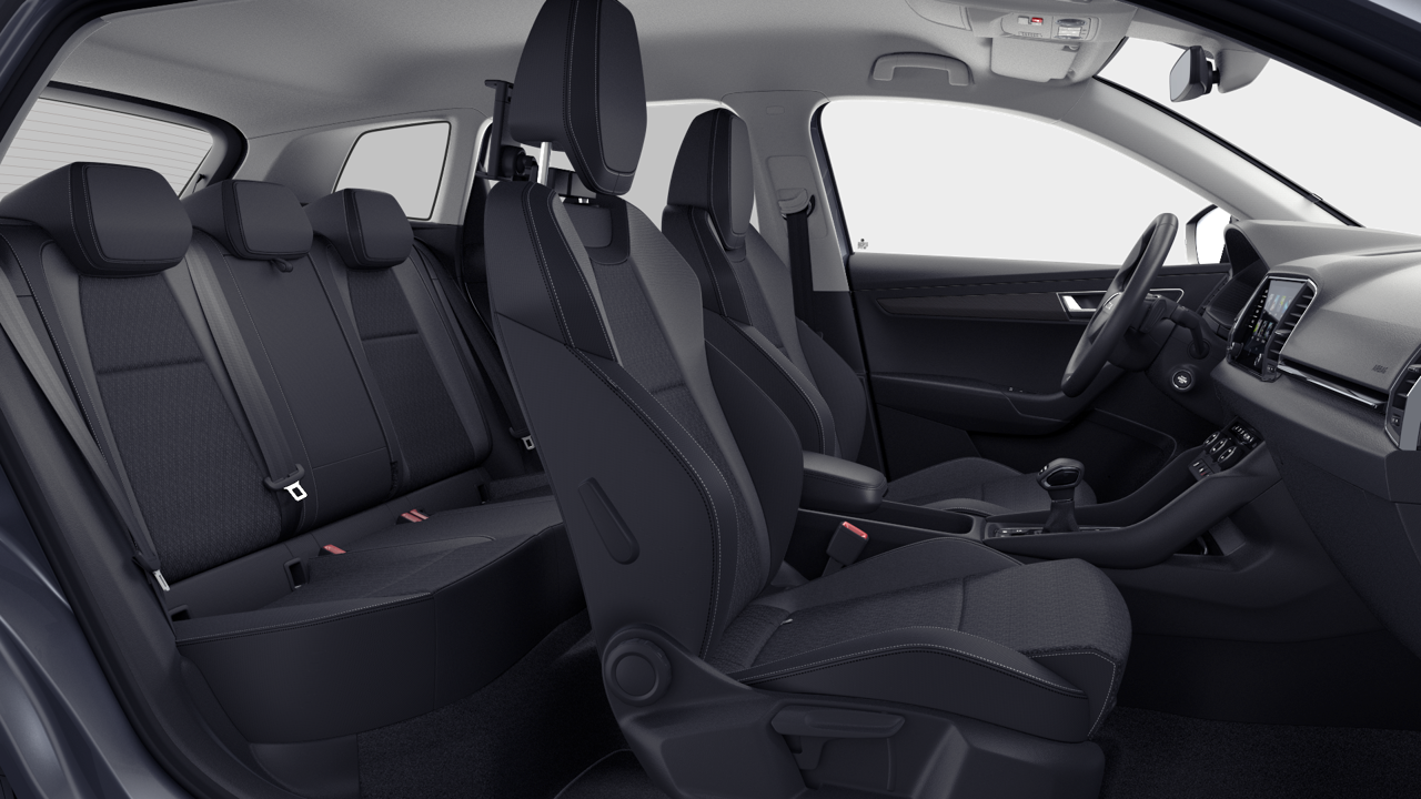 Bild eines Karoq 4x4 Selection TDI DSG