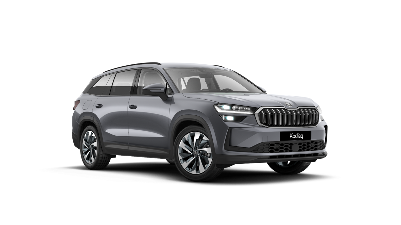 Bild eines Kodiaq Selection TDI DSG