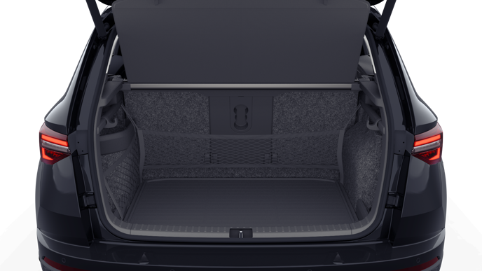 Bild eines Karoq Selection TDI DSG