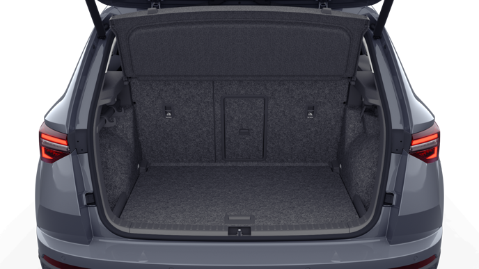 Bild eines Karoq Selection TDI DSG