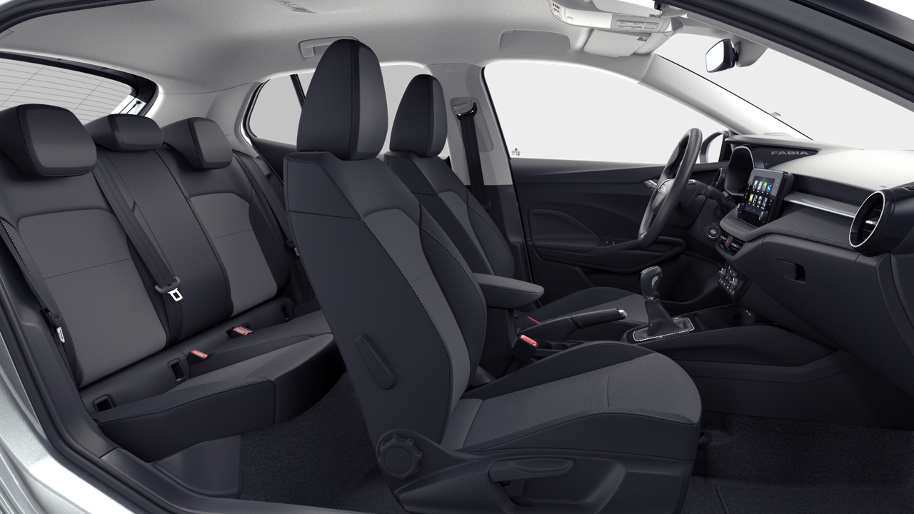 Bild eines Fabia Selection TSI DSG