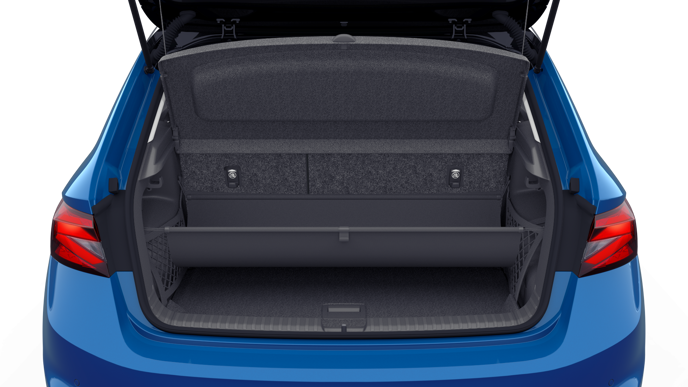Bild eines Fabia Selection TSI DSG