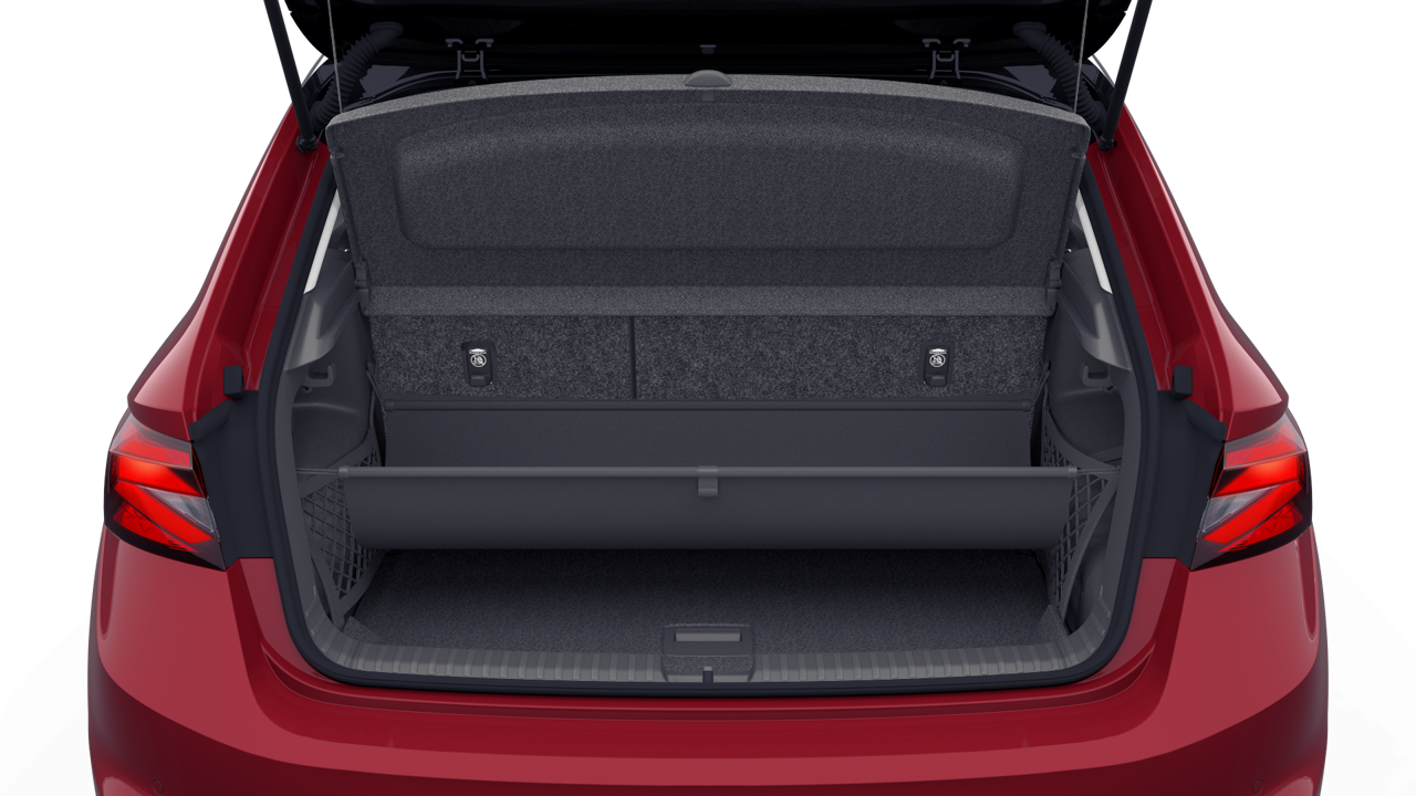 Bild eines Fabia Selection TSI DSG