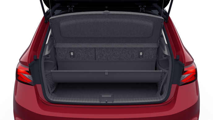 Bild eines Fabia Selection TSI DSG
