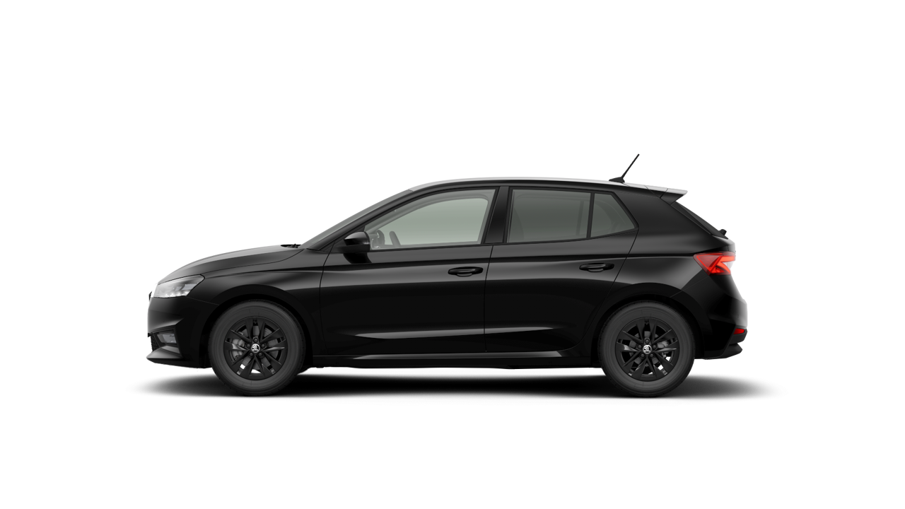 Bild eines Fabia Selection TSI DSG