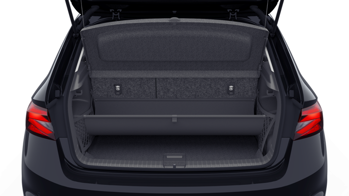 Bild eines Fabia Selection TSI