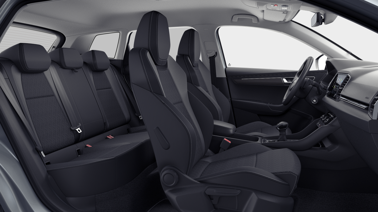 Bild eines Karoq 4x4 Selection TDI DSG