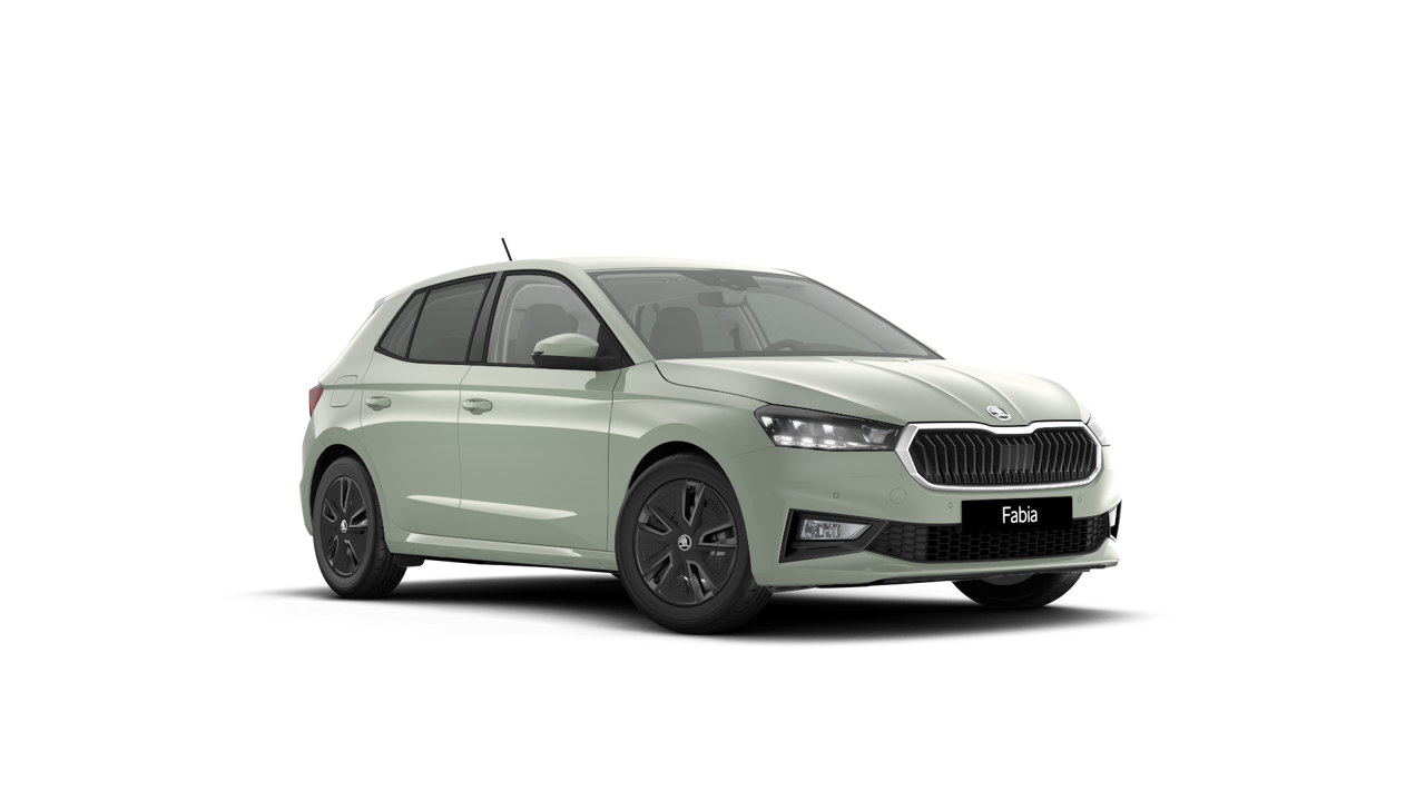 Bild eines Fabia Selection TSI