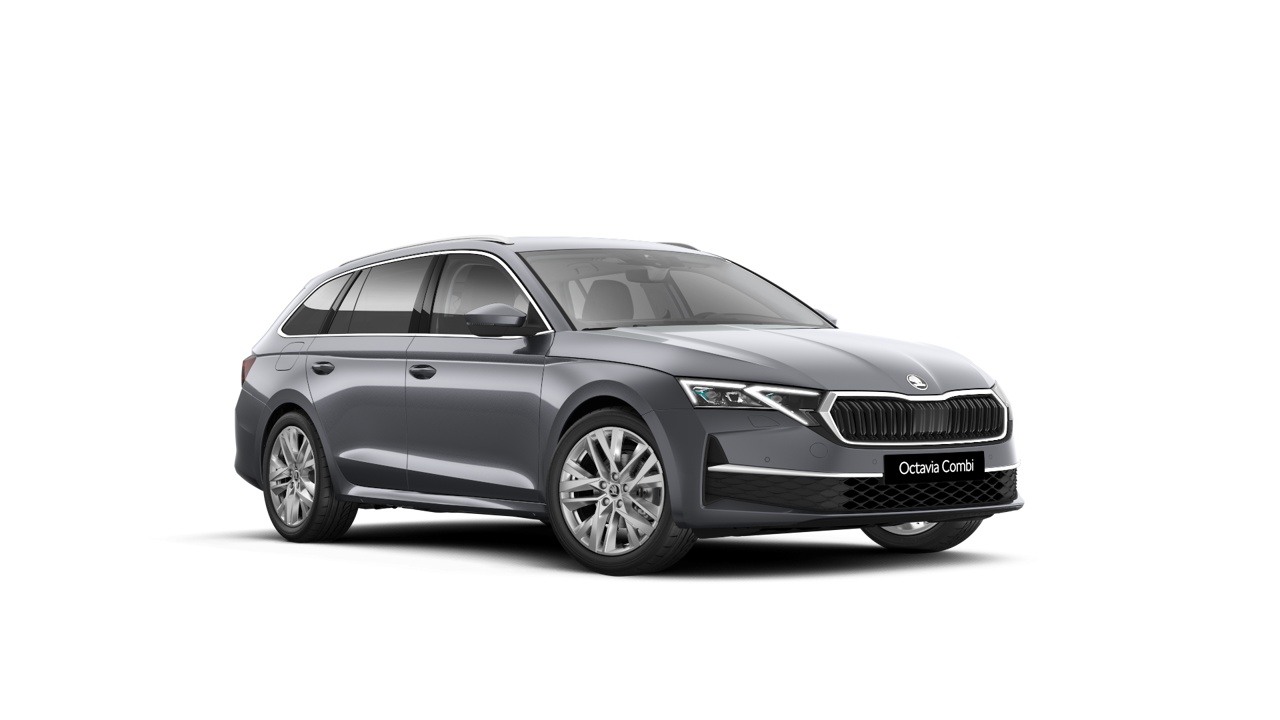 Bild eines Octavia Combi Selection TDI DSG