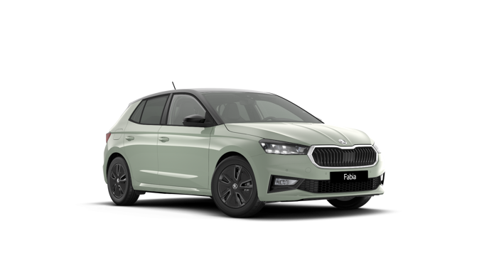 Bild eines Fabia Selection TSI DSG