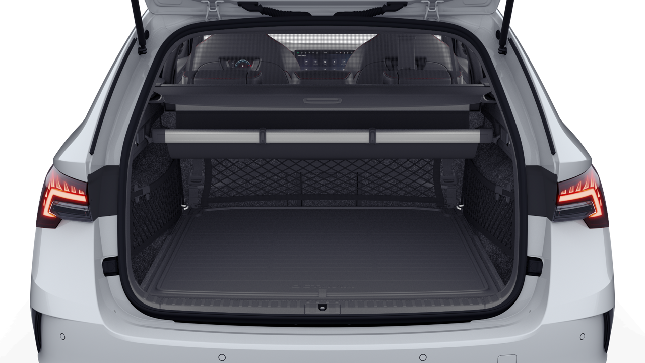 Bild eines Octavia Combi RS
