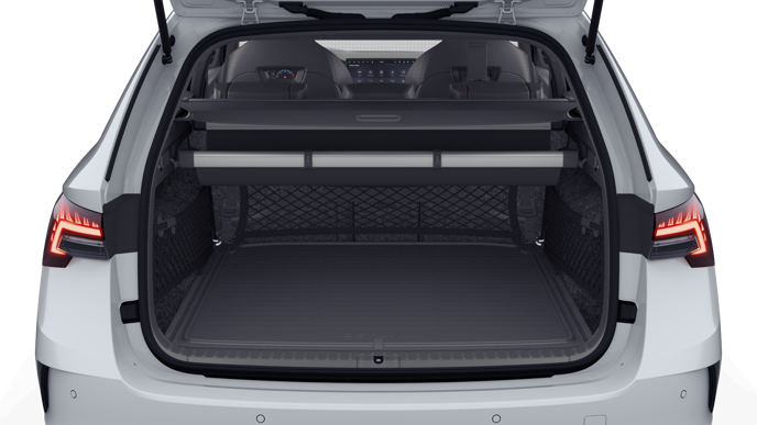 Bild eines Octavia Combi RS
