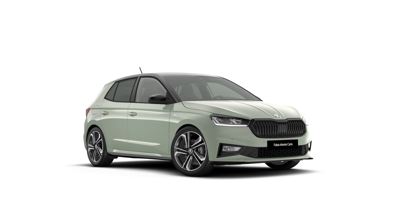Bild eines Fabia Monte Carlo TSI