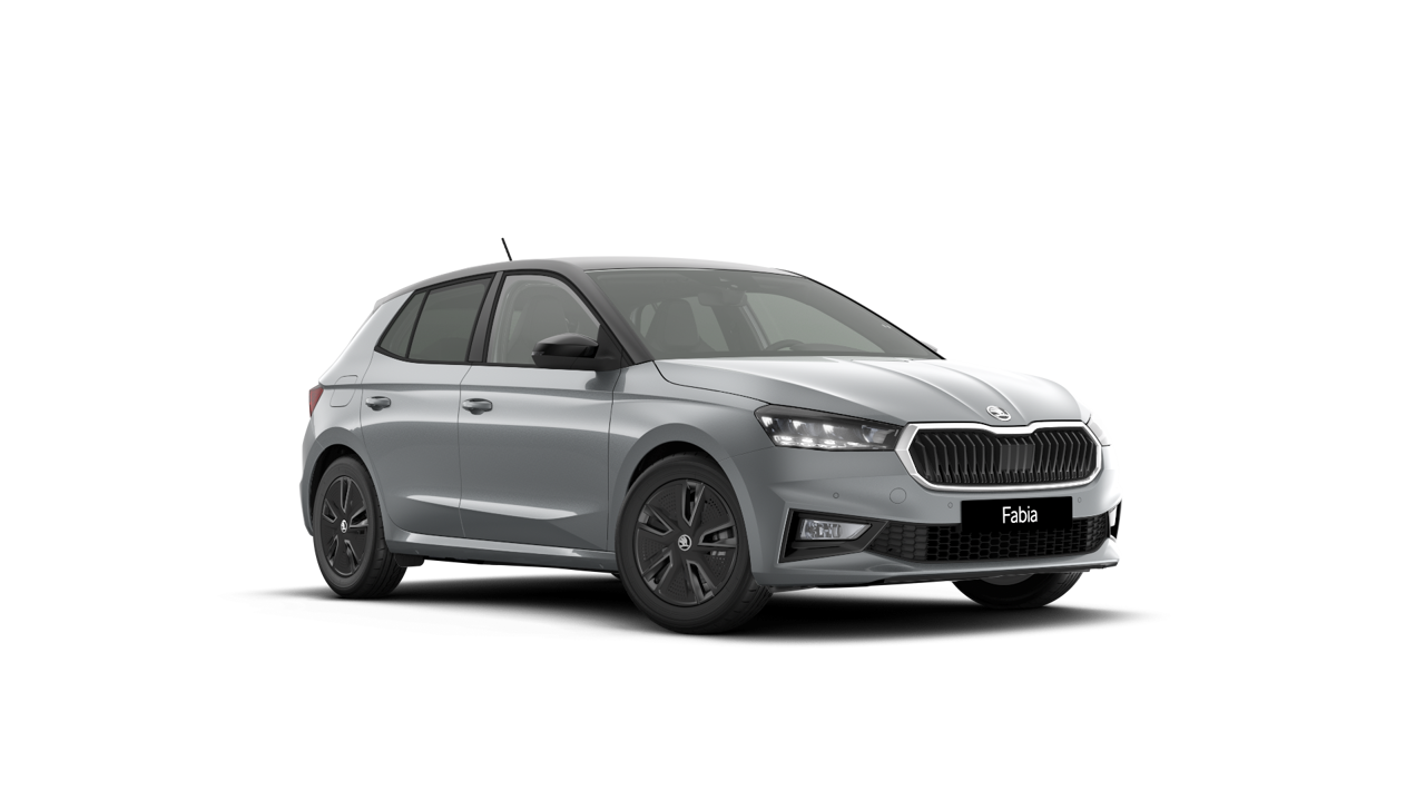 Bild eines Fabia Selection TSI