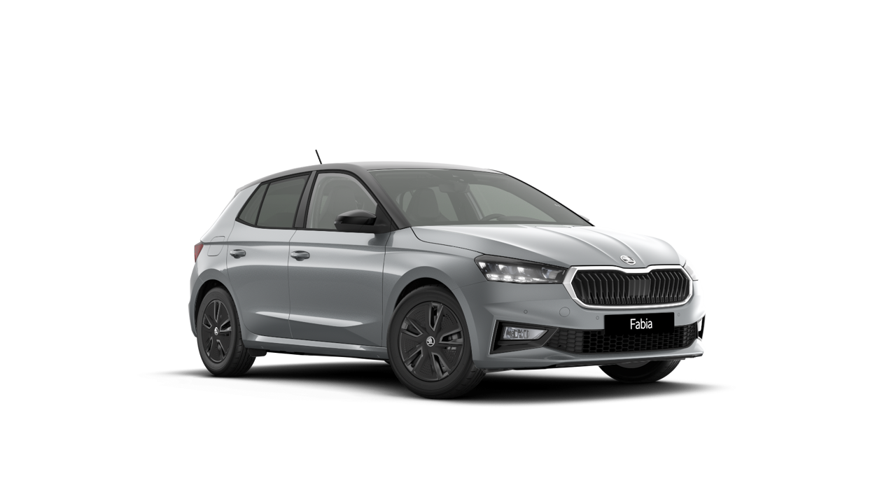 Bild eines Fabia Selection TSI