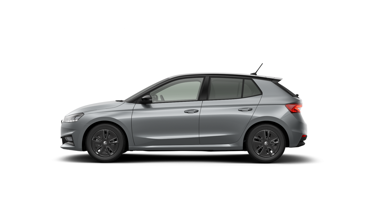 Bild eines Fabia Selection TSI