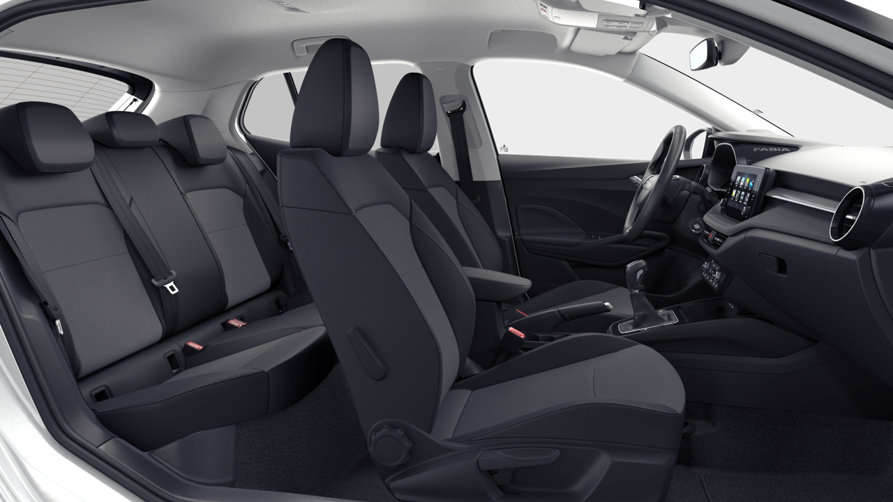 Bild eines Fabia Selection TSI DSG