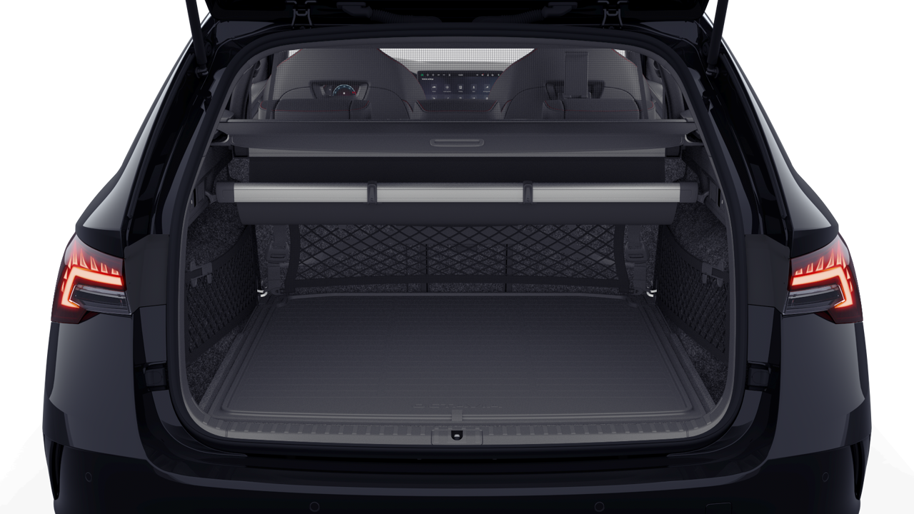 Bild eines Octavia Combi RS