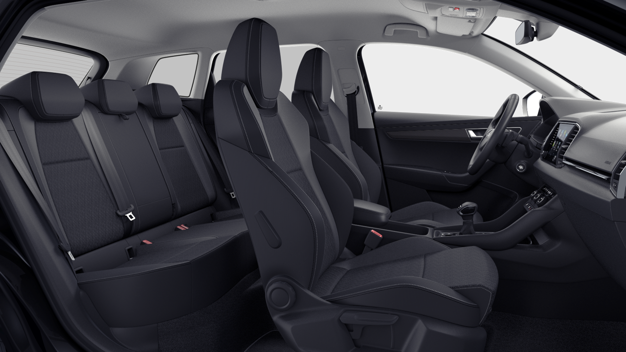 Bild eines Karoq 4x4 Selection TDI DSG