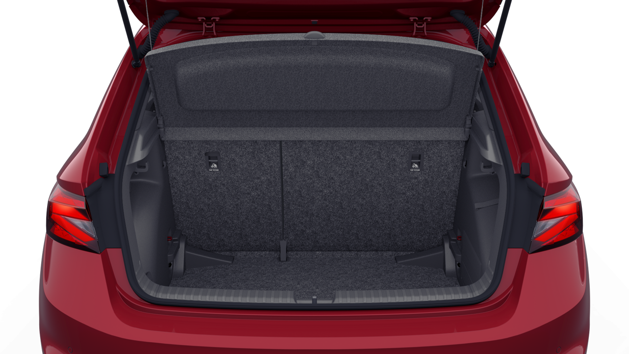 Bild eines Fabia Monte Carlo TSI DSG