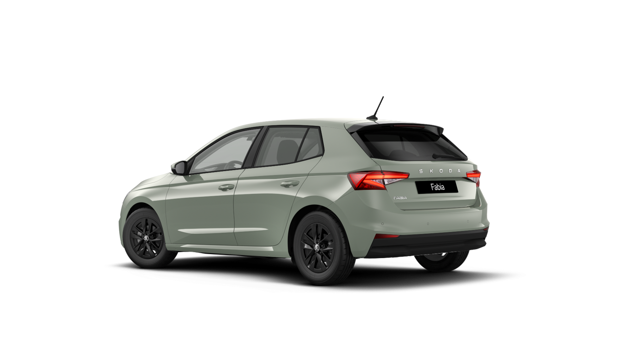 Bild eines Fabia Selection