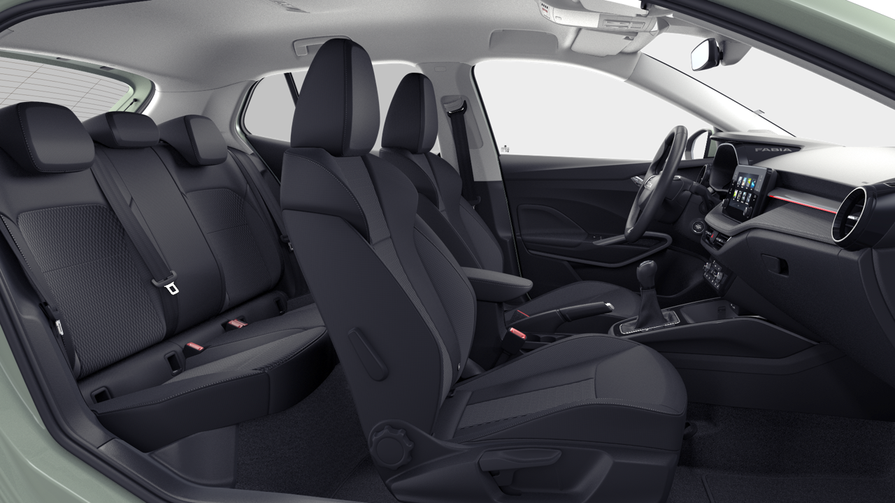 Bild eines Fabia Selection