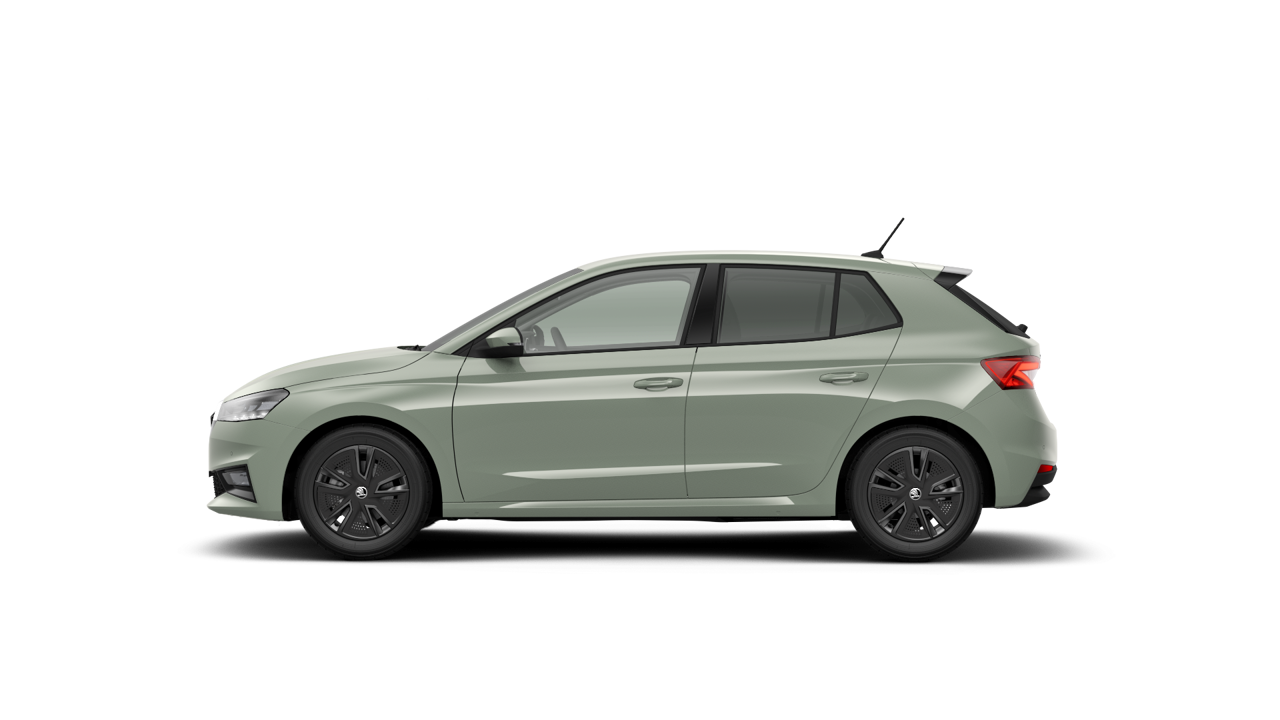 Bild eines Fabia Selection TSI DSG