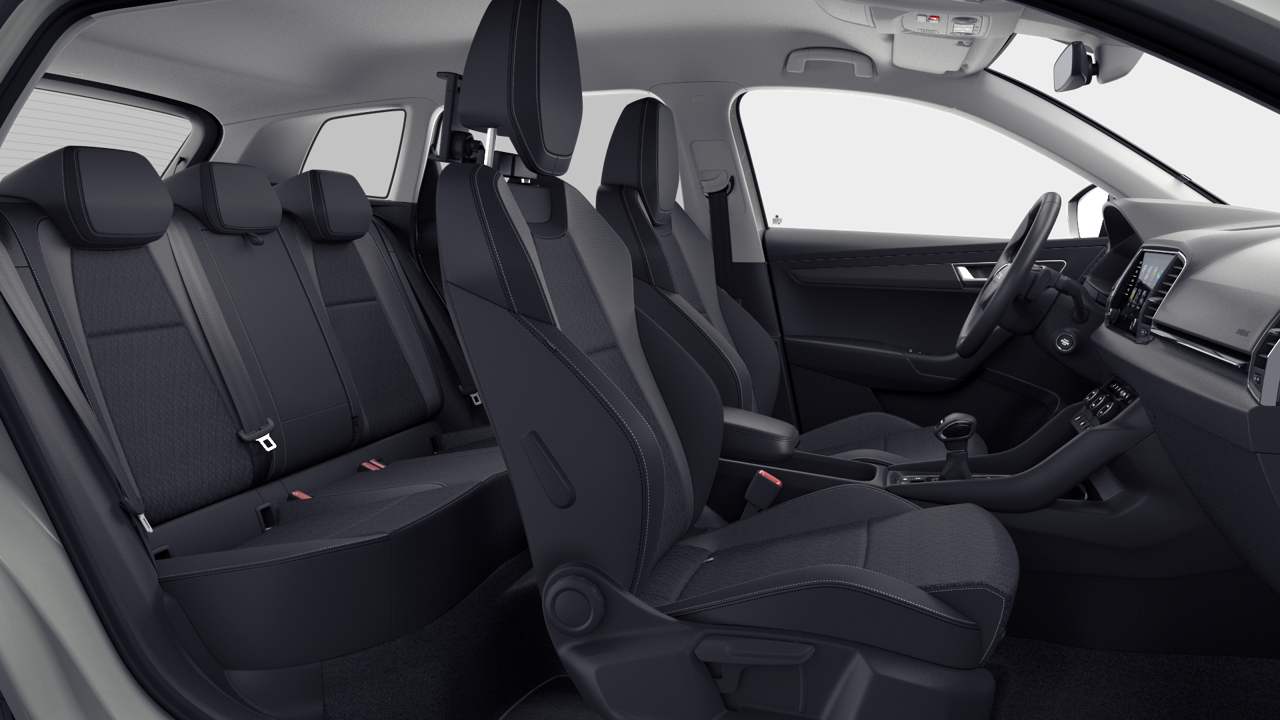 Bild eines Karoq Selection TSI DSG ACT