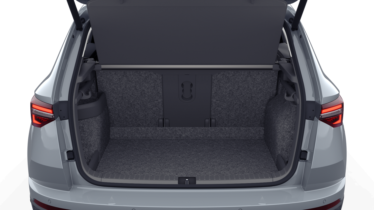 Bild eines Karoq Selection TSI DSG ACT