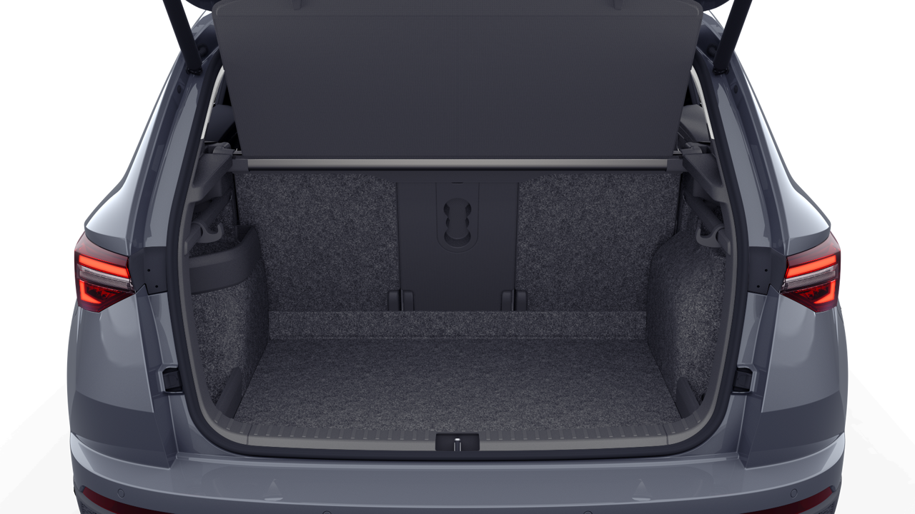 Bild eines Karoq Selection TSI DSG ACT