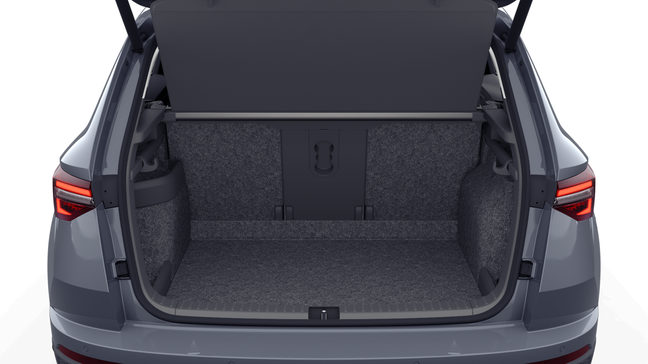 Bild eines Karoq Selection TSI DSG ACT