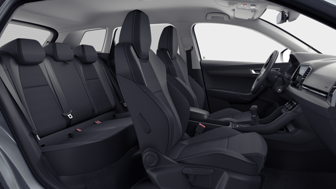 Bild eines Karoq Selection TDI