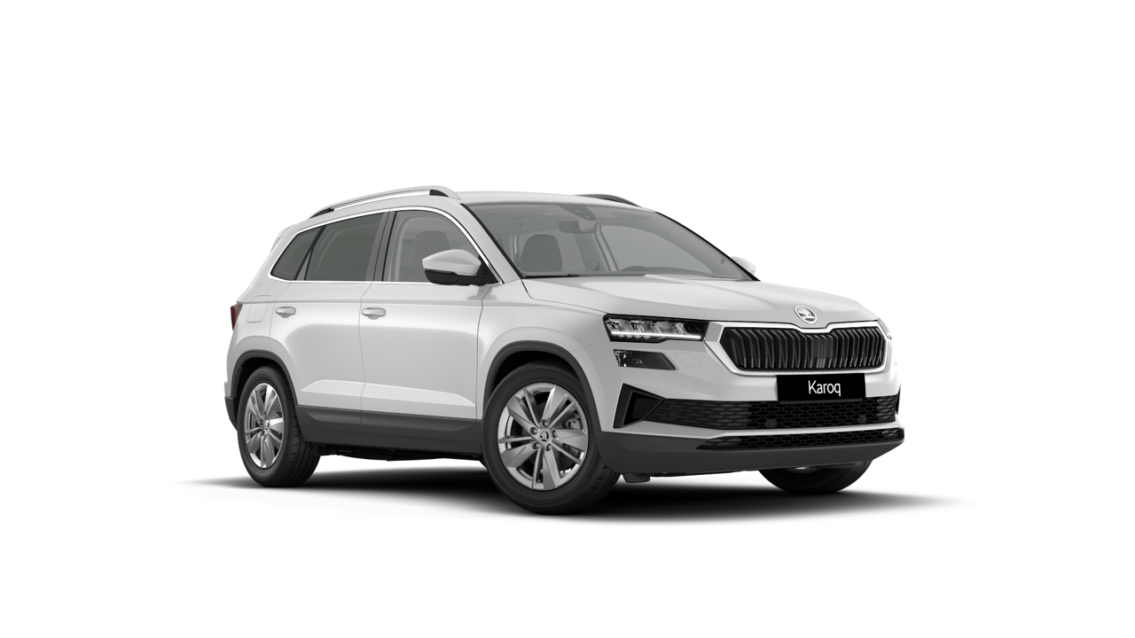 Bild eines Karoq Selection TDI DSG